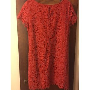 Lace Zara Dress